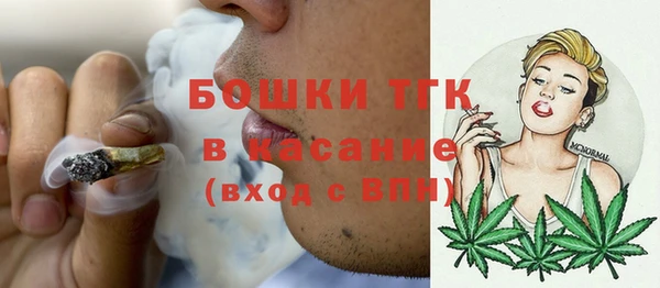 индика Нефтегорск