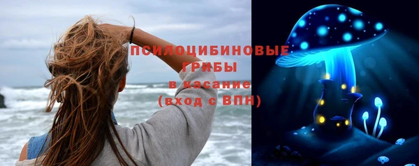 индика Нефтегорск