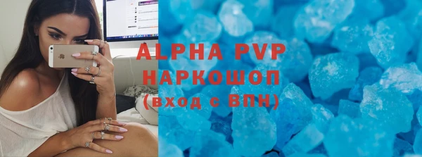 гашик Нефтекумск