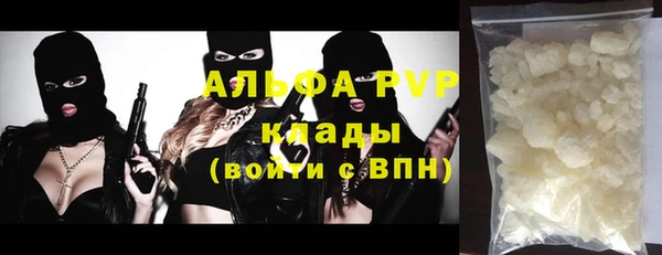 гашик Нефтекумск