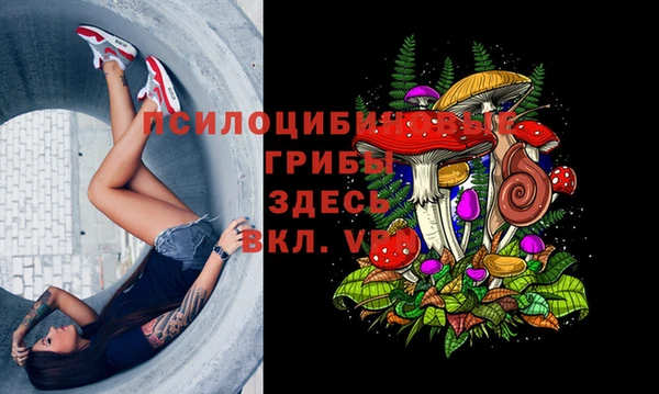 первитин Новозыбков