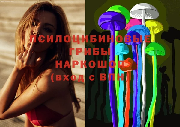 гашик Нефтекумск