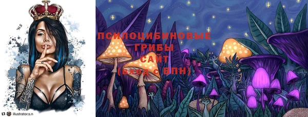 индика Нефтегорск