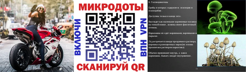 Псилоцибиновые грибы мухоморы  купить наркотик  сайты даркнета клад  Оха 